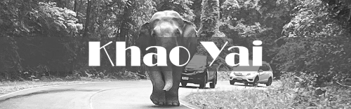 Khao Yai Thailand
