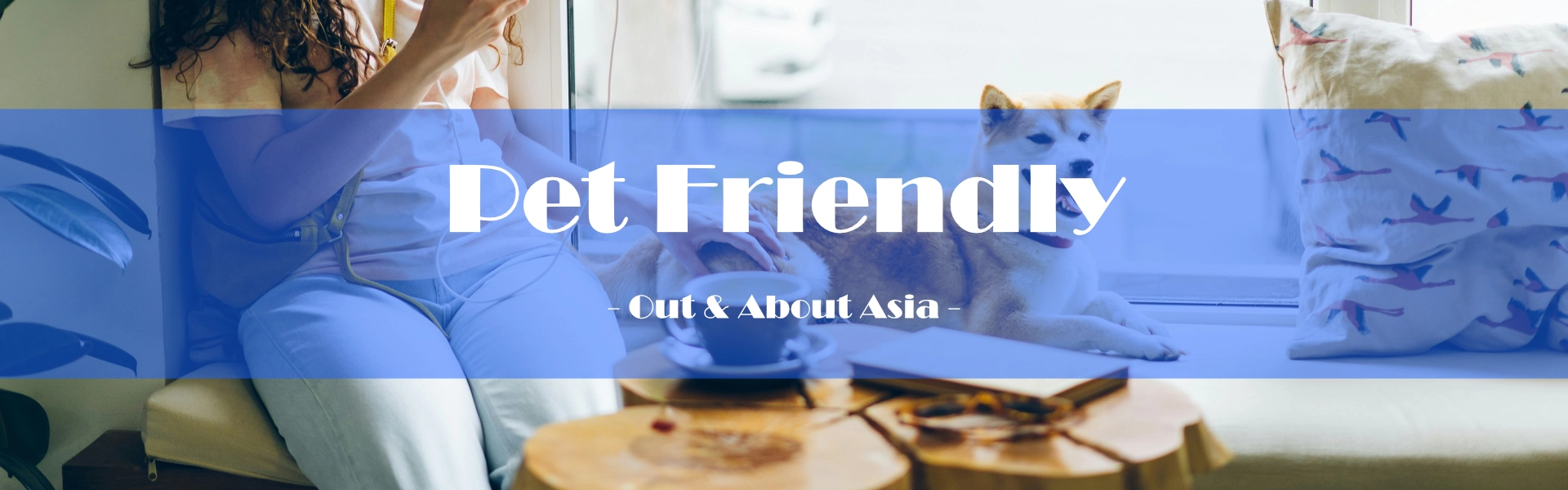 Out & About Asia